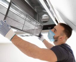 img_11b76f1f27fbd656cb136465fd83c932